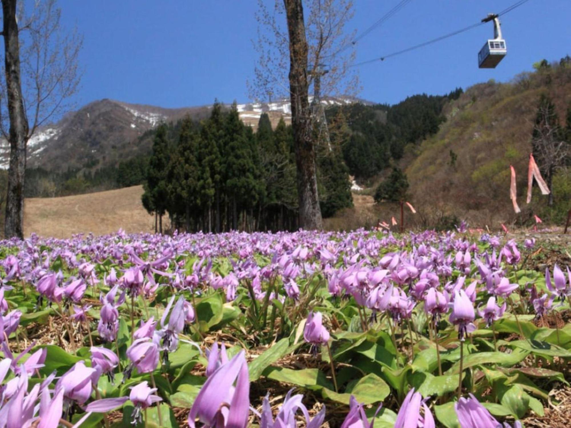 Pension Come Western Style Room With Bath And Toilet - Vacation Stay 14966 Minamiuonuma Exterior foto